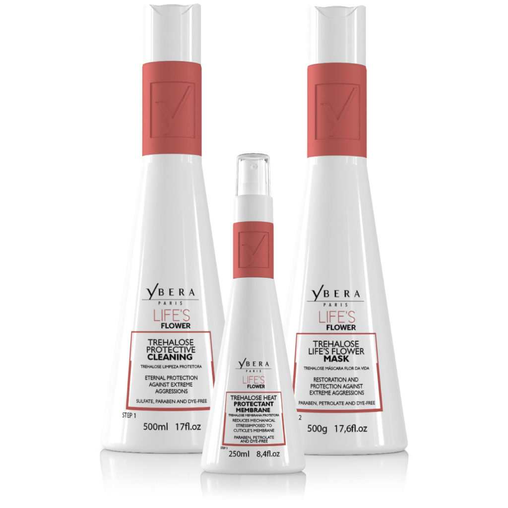 Tratamiento Profesional Antifrizz Life´s Flower